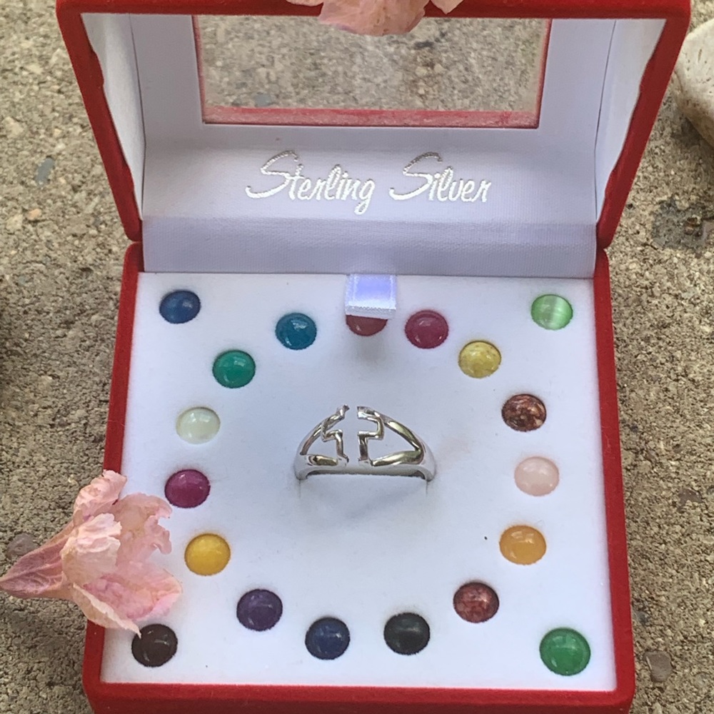 🎀SOLD🎀 Silver Interchangeable Ring